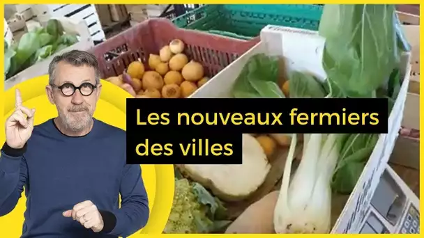 Les nouveaux fermiers des villes  - C Jamy