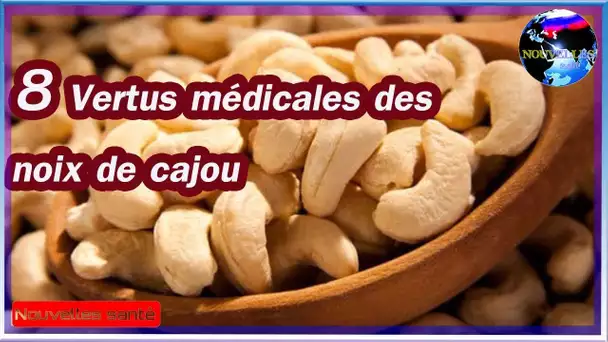 8 Vertus médicales des noix de cajou|Nouvelles24h