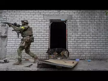 Guerre en Ukraine : Kyiv affiche son optimisme sur l'issue du conflit