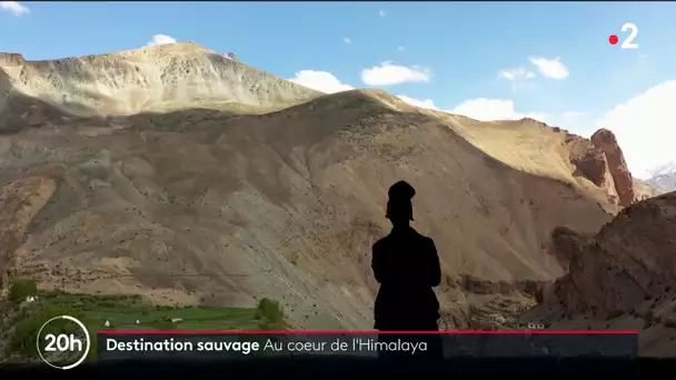 Destination sauvage : à la découverte du Zanskar