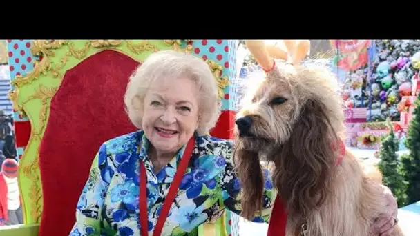 Betty White a aidé à récolter 12,7 millions de dollars pour les animaux sur les réseaux sociaux