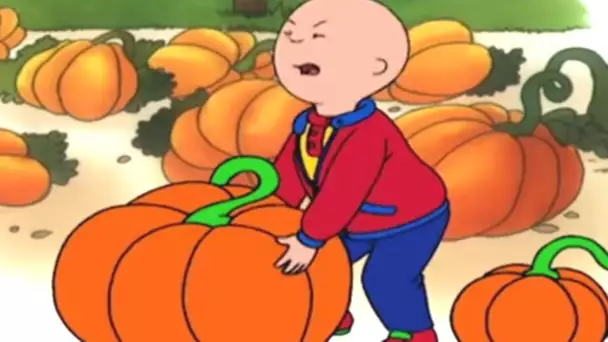 Caillou et la Citrouille | Caillou en Français