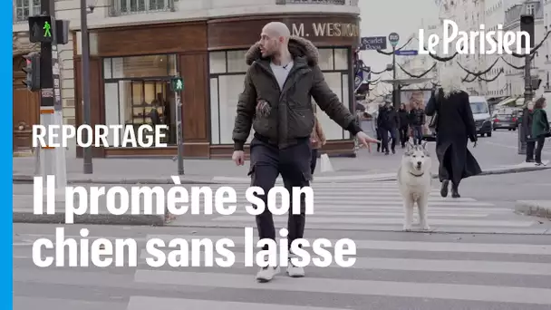 Thibault milite pour pouvoir promener chien sans laisse dans Paris
