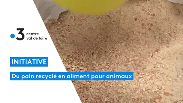 Indre : du pain recyclé en aliment pour l'élevage