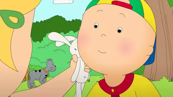 Le Premier Amour de Caillou | Caillou en Français