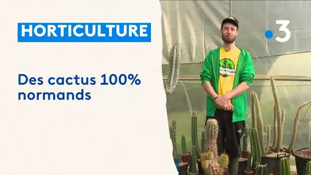 Horticulture. Des cactus 100% normands