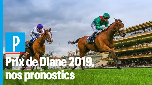 Pronostics: quels sont les favoris du Prix de Diane Longines 2019 ?