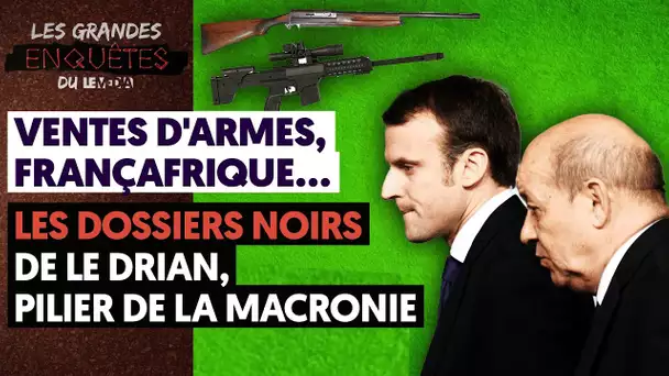 VENTES D'ARMES, FRANÇAFRIQUE... LES DOSSIERS NOIRS DE LE DRIAN, PILIER DE LA MACRONIE