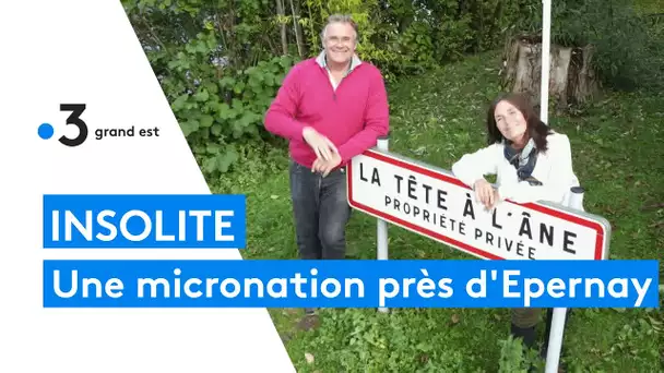 Insolite : un pays indépendant près d'Epernay, une micronation née sur l'île de la Tête à l'âne