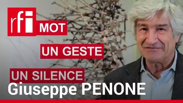 Giuseppe Penone en un mot, un geste et un silence • RFI