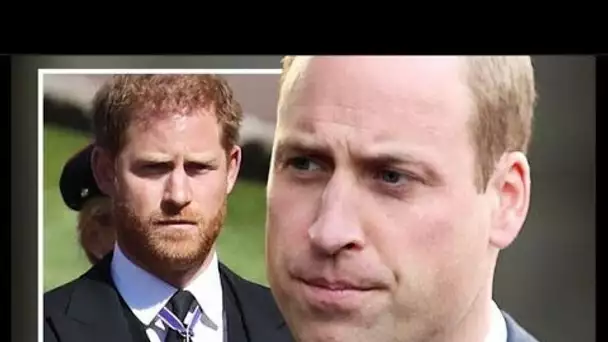 Le prince William estime qu'il « ne peut pas faire confiance à Harry » alors que l'accord multi-livr