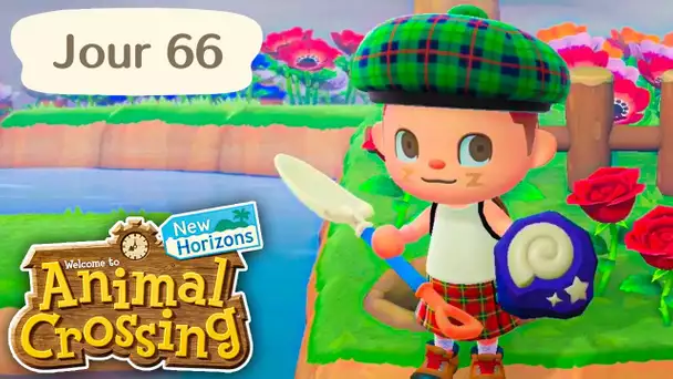 Jour 66 | Je suis Écossais | Animal Crossing : New Horizons