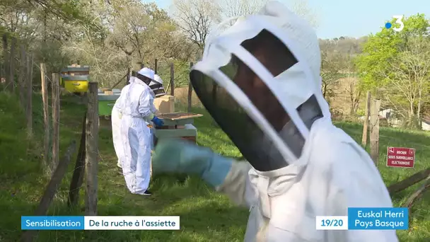 Pays basque : quand des chefs étoilés (re)découvrent le travail des abeilles