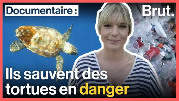 ILS SAUVENT DES TORTUES EN DANGER (avec Léa Camilleri)