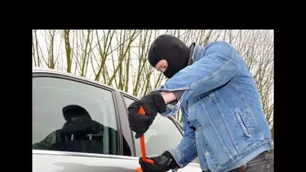 Et la voiture la plus volée en France est...