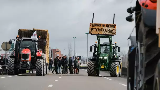 Colère des agriculteurs : «Quand on bloque le réseau routier, on bloque le capitalisme» affirme l…