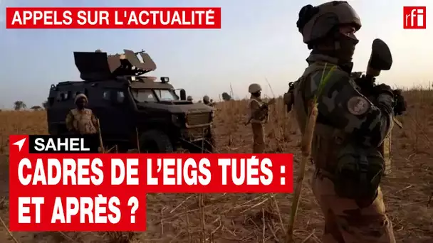Sahel - cadres de l'EIGS tués : et après ? • RFI