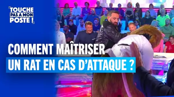 La masterclass de Cyril Hanouna pour maîtriser un rat en cas d'attaque !