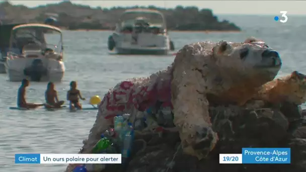 Un ours polaire s'échoue sur une plage d'Antibes