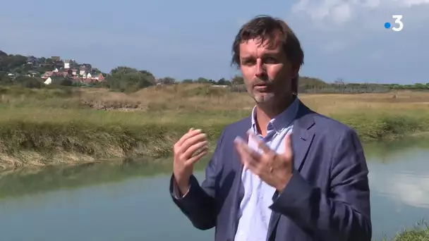 La sauvegarde du littoral à Quiberville