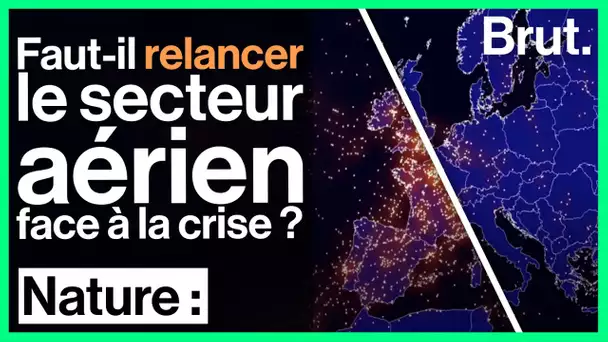 Faut-il relancer le secteur aérien face à la crise ?