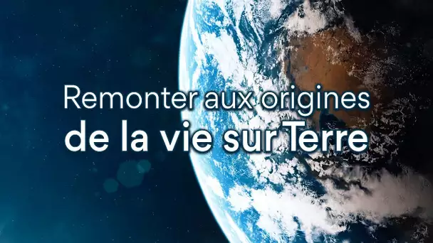 Comment remonter aux origines de la vie sur Terre ? - L'Esprit Sorcier