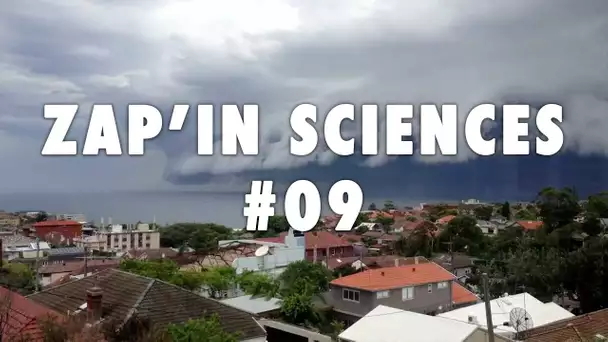 Zap'In Sciences #09 - L'Esprit Sorcier