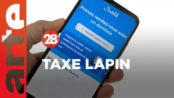 Le Sénat vote une "taxe lapin" : faut-il faire payer l’incivisme ? - 28 Minutes - ARTE