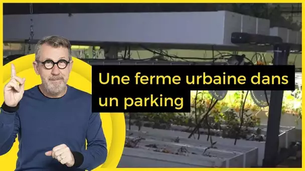 Une ferme urbaine dans un parking - C Jamy