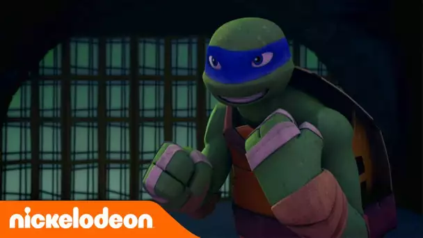 Les Tortues Ninja | Qui t&#039;a appris ça? | Nickelodeon France