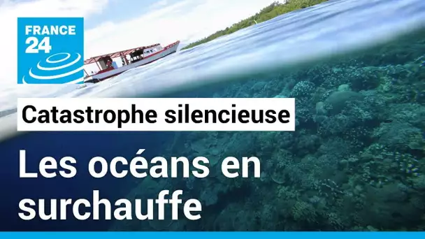La température des océans bat des records, des conséquences en cascade • FRANCE 24