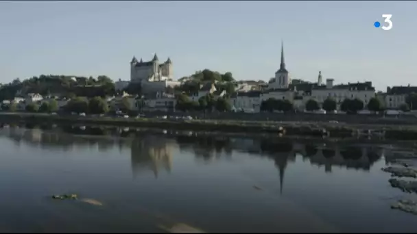 Drone : Saumur et son vignole
