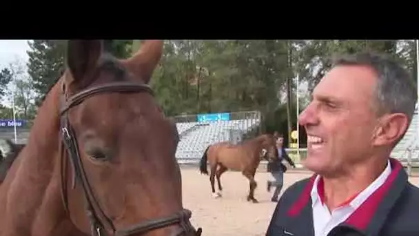 visite vétérinaire des chevaux du 5 étoiles de Pau 2019