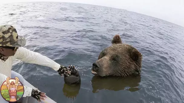 Animaux Courageux Filmés Par Caméra !