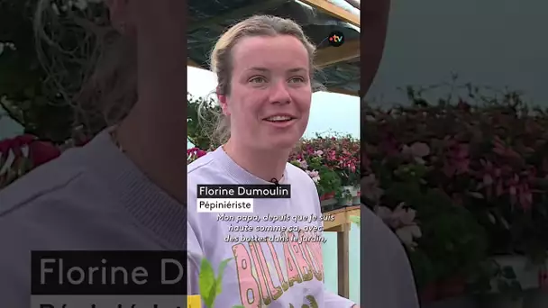 Dans cette pépinière, l’amour des plantes est une histoire de famille