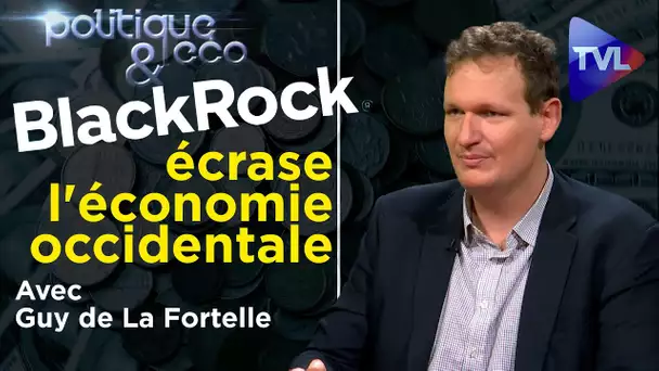 BlackRock : la nébuleuse du scandale (1ère partie) - Politique & Eco n°327 avec Guy de La Fortelle