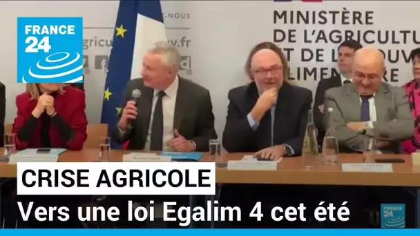 Crise agricole : vers une loi Egalim 4 cet été • FRANCE 24