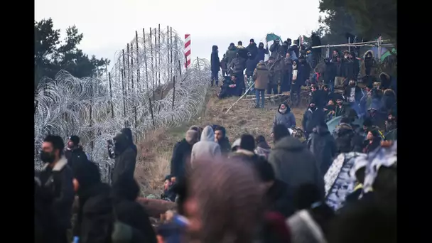 En direct : un campement de migrants à la frontière polonaise-biélorusse