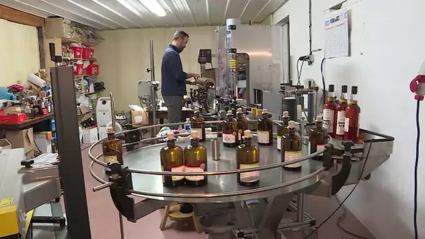 Production de Gin sans alcool à Saint-Brice en Charente
