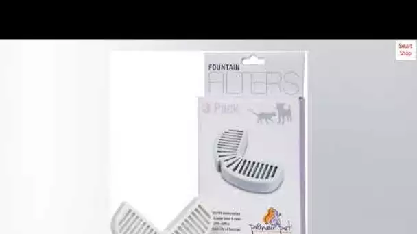 Pioneer Pet Replacement Filters for Ceramic & Stainless Steel Fountains, Raindrop Filters