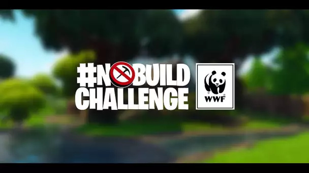 #NoBuildChallenge : le défi écolo lancé par le WWF aux joueurs de Fortnite