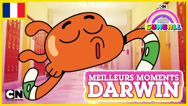 Le Monde Incroyable de Gumball 🇫🇷 | Les meilleurs moments de Darwin #5