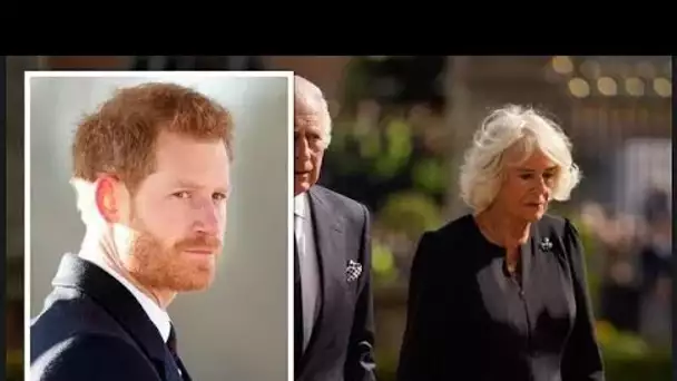 "Espoirs de réconciliation anéantis": l'att@chement "cruel" de Harry à Camilla franchit la "ligne