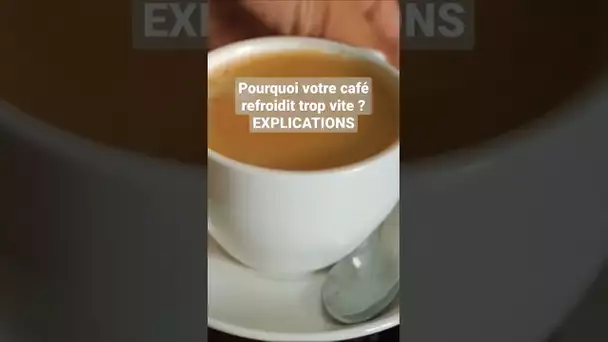 Pourquoi votre café refroidit trop vite - Explications