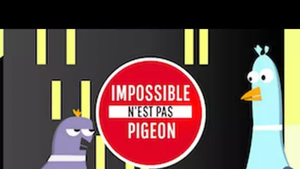 Impossible n&#039;est pas pigeon : s&#039;amuser en étant un ado