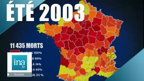 Été 2003 : les décès de la canicule | Archive INA