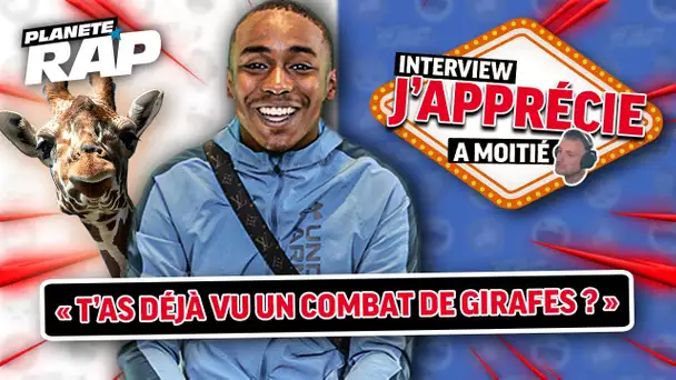 SASSO ADORE LES COMBATS DE GIRAFES - Interview "J'apprécie à moitié" !