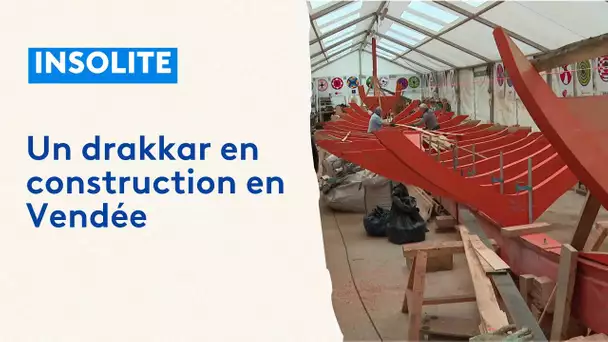 Vendée : ils veulent traverser l'Atlantique avec leur drakkar