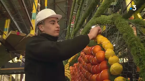 Fête du Citron de Menton 2022 : dans les coulisses pour les derniers préparatifs.