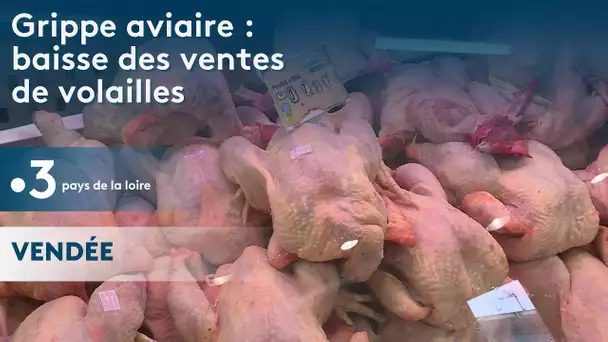 Grippe aviaire : baisse de la vente de volailles